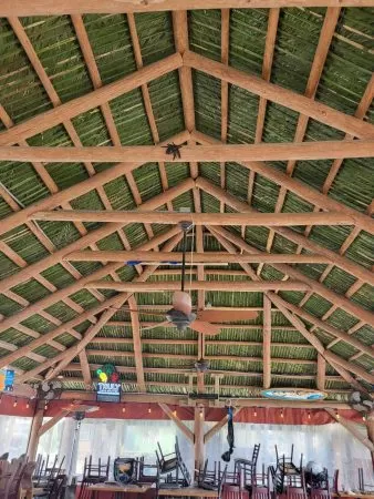 Gallery 02 29 2024 1