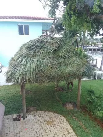 Gallery 03 05 2024 43