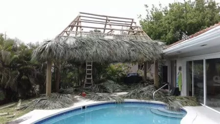 Gallery 04 11 2020 30