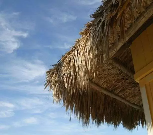 luau-chikee-hut-llc-19